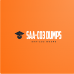 SAA-C03 Dumps